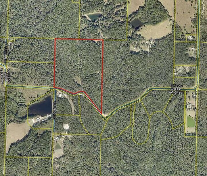 Property Photo: 48 Acres Indian Creek Ranch Road FL 32435