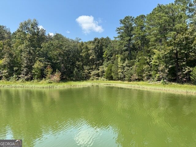 Property Photo:  2012 Lakeside Drive Lot 47 / Beaverdam Lot 48  GA 30635 