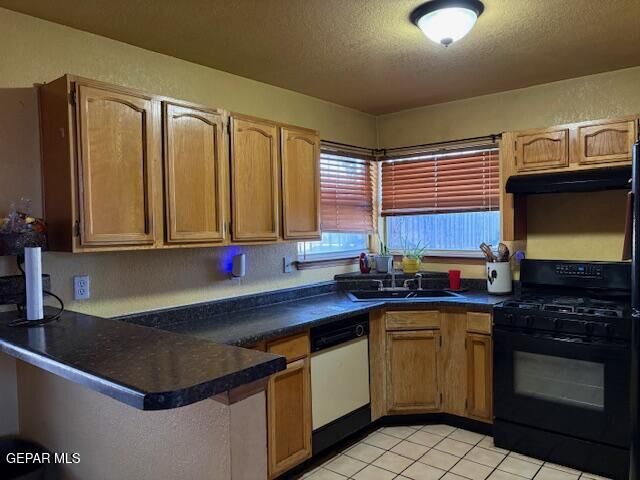 Property Photo:  1743 Ruddy Quail Lane  TX 79936 