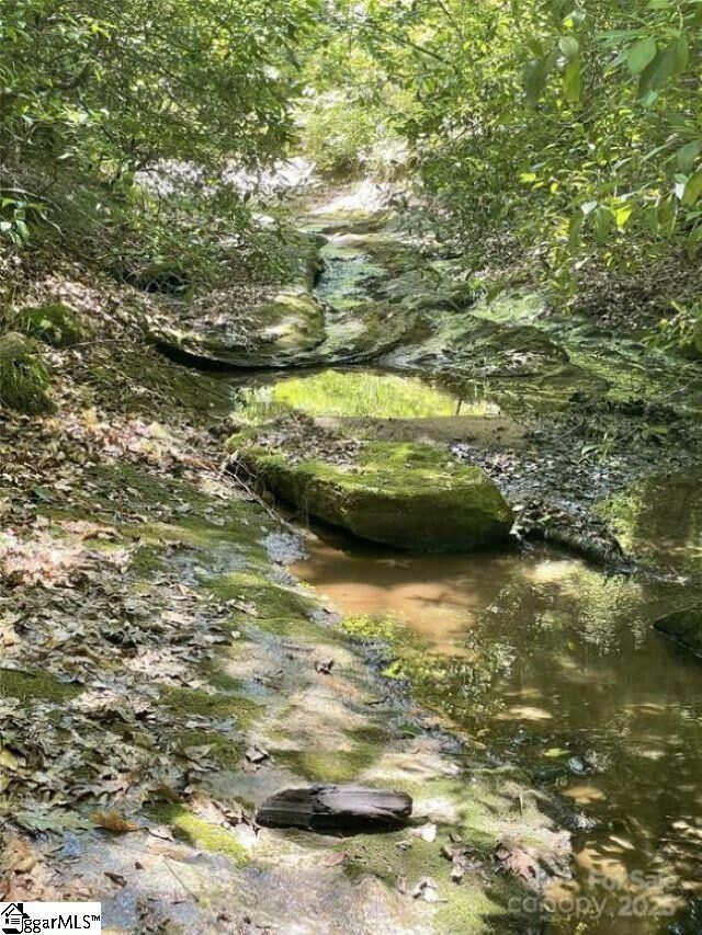 Property Photo:  00 Green Creek Drive  NC 28782 