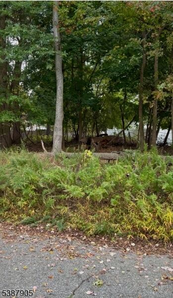 Property Photo:  0 Oakwood Ave  NJ 07440 