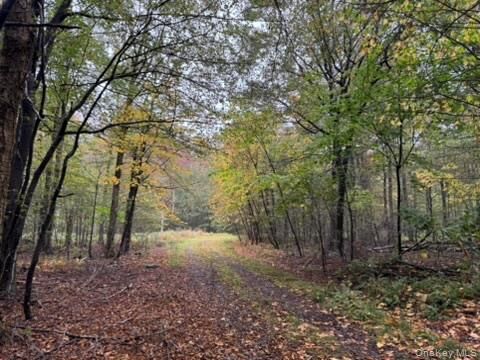 Property Photo: Little Ireland Road NY 12758