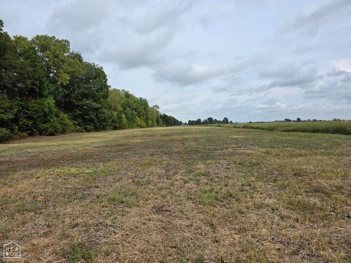 Property Photo: 31216 South Rd AR 72365