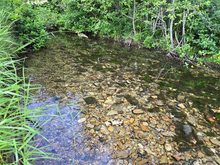 Property Photo:  30467 S Fork Yaak Road  MT 59935 