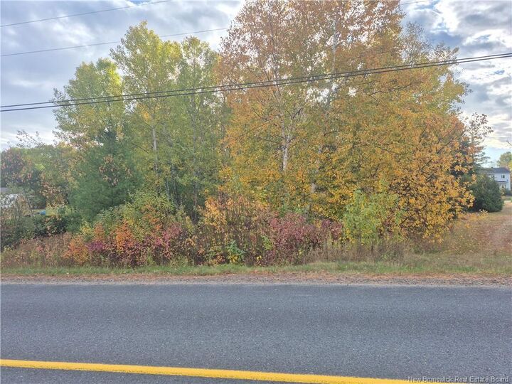 0.5 Acre Noel Rd — photo 1
