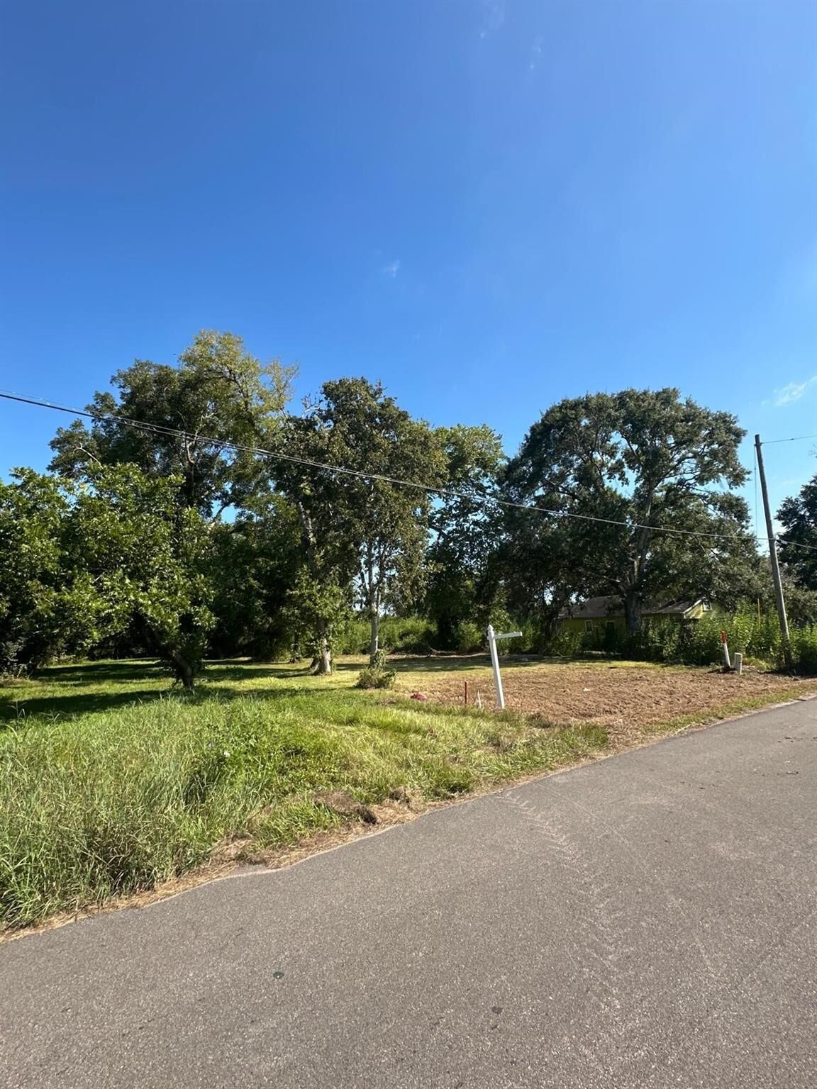 Property Photo:  226 W Jackson Street  TX 77486 