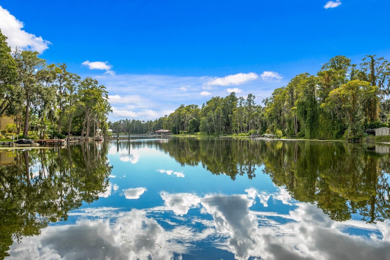 Property Photo: 19116 Forrest Drive FL 33556