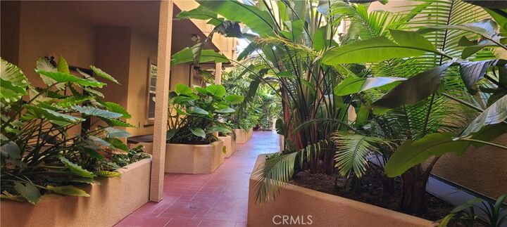 Property Photo:  555 E Santa Anita Avenue 301  CA 91501 