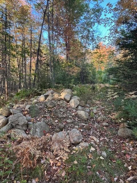 Property Photo:  Lot 22 Taylor Woods Road  ME 04217 
