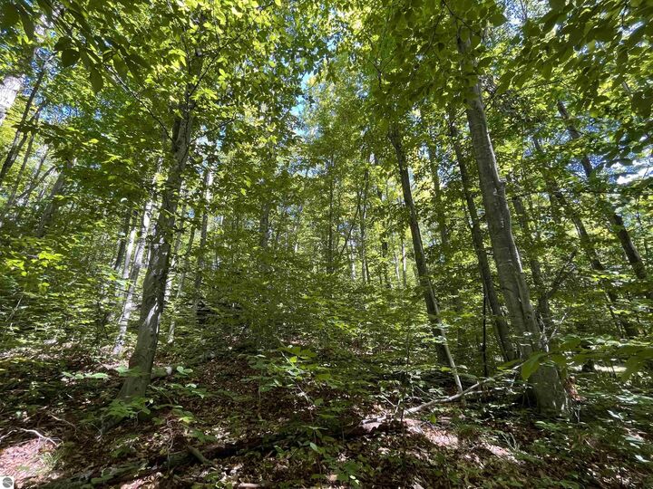 Property Photo:  Lot 70 N Klaffen Strasse  MI 49615 