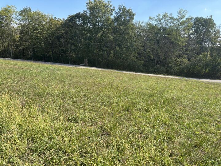 Property Photo:  0 1316 Hwy  KY 41086 
