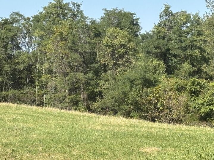 Property Photo:  0 16 Hwy  KY 41095 