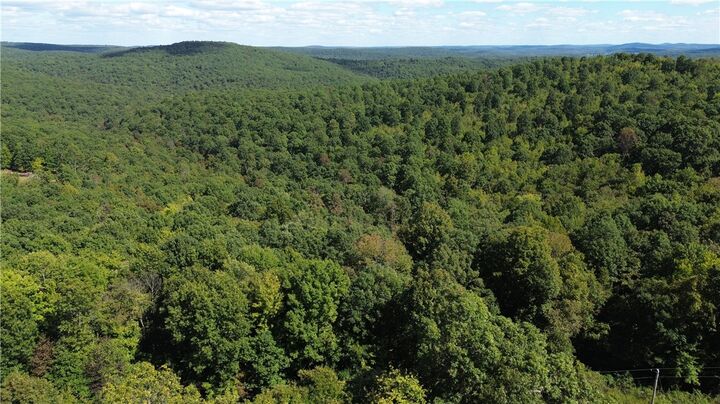 Property Photo:  Ar 123 Highway  AR 72856 