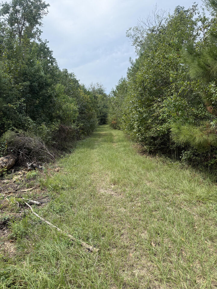 Property Photo:  Tbd Scallon Rd.  LA 70634 
