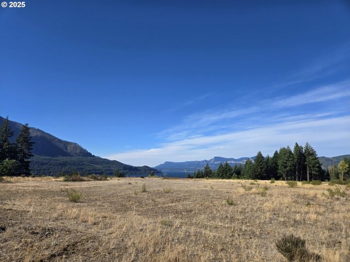 Property Photo:  Cottonwood  WA 98648 