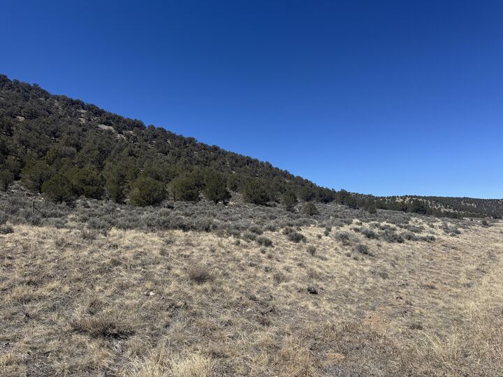 Property Photo:  1850 S Riverview Dr 5  UT 84759 