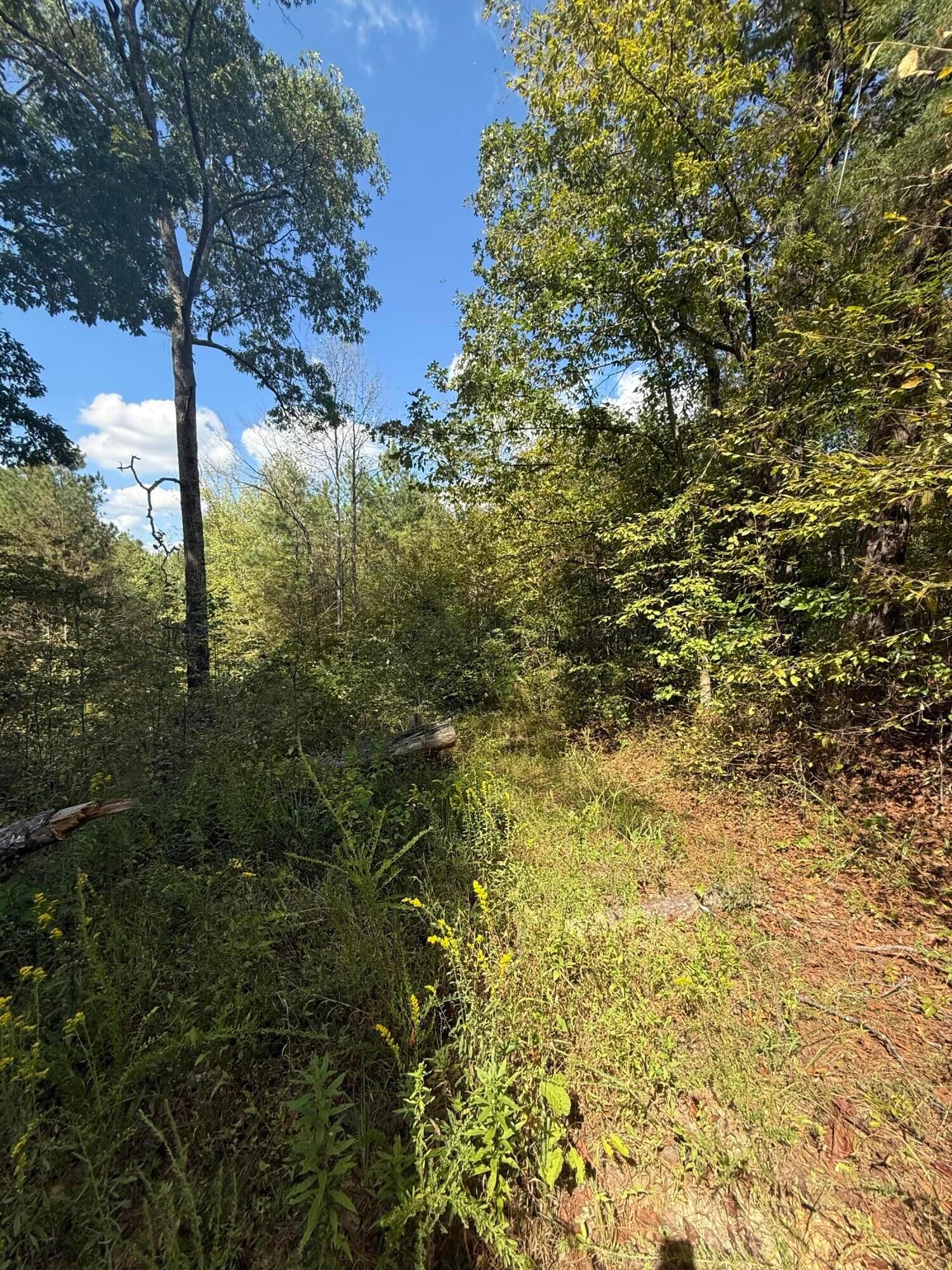Property Photo: County Rd 3730 AL 35540