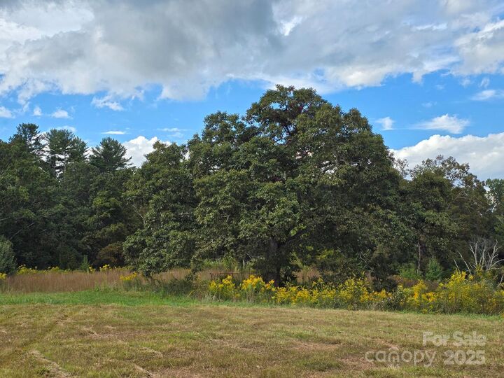Property Photo:  128 Cook Lane  NC 28759 