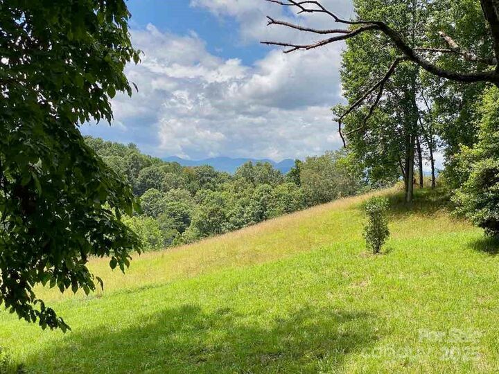 Property Photo:  48 Sweet Fern Parkway 59  NC 28804 