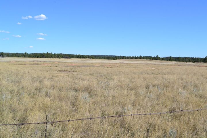 Tbd Moonlight Drive  Edgemont SD 57735 photo