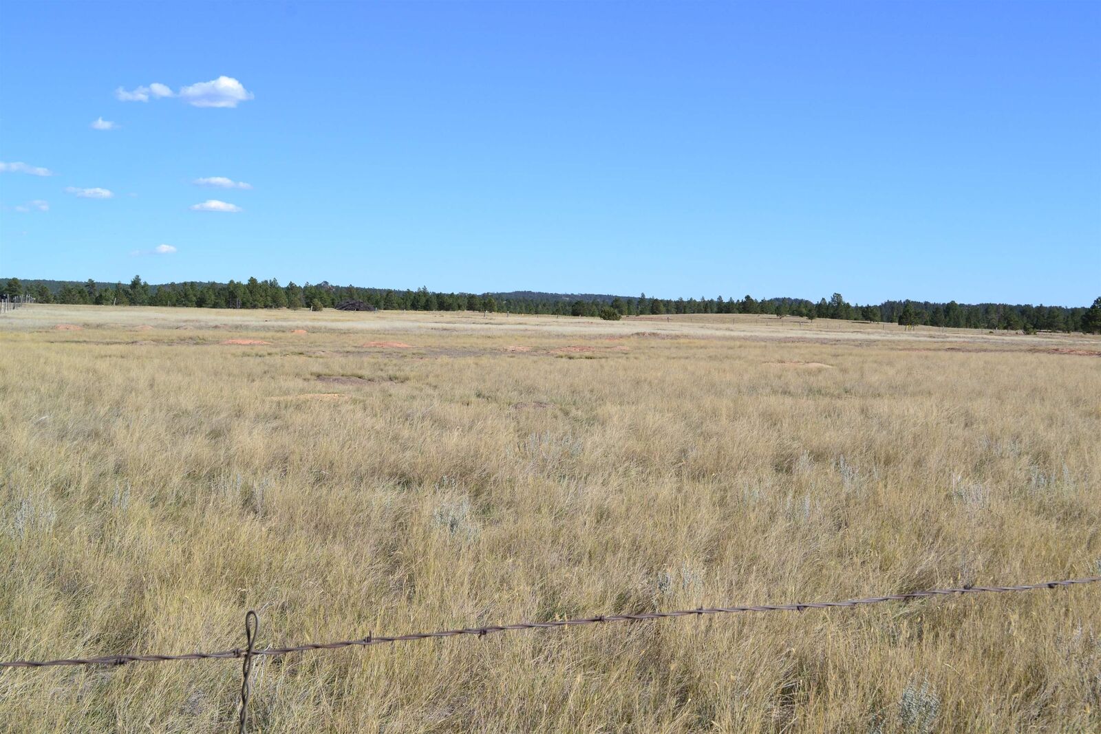 Property Photo: Tbd Moonlight Drive SD 57735