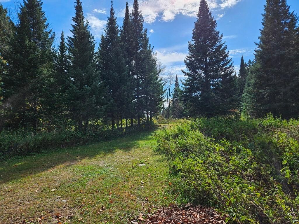 Property Photo:  Lt 3 Blk 1 County Rd 238  MN 56636 