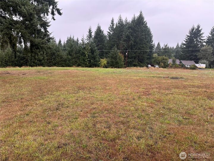 Property Photo: 0 NE 1st Street WA 98596