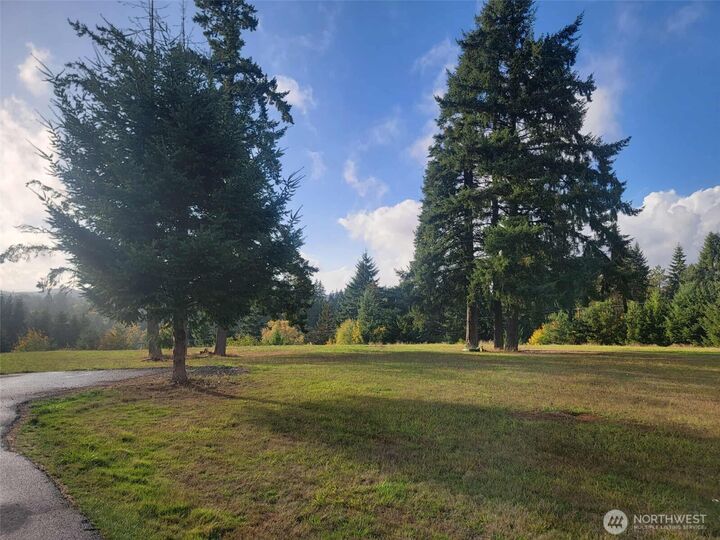 Property Photo: 0 NE 1st Street WA 98596