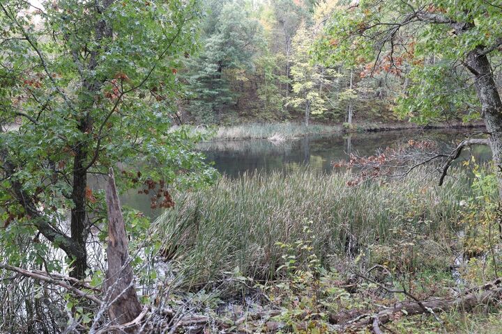 Xxx Norman'S Landing Road  Webster WI 54893 photo