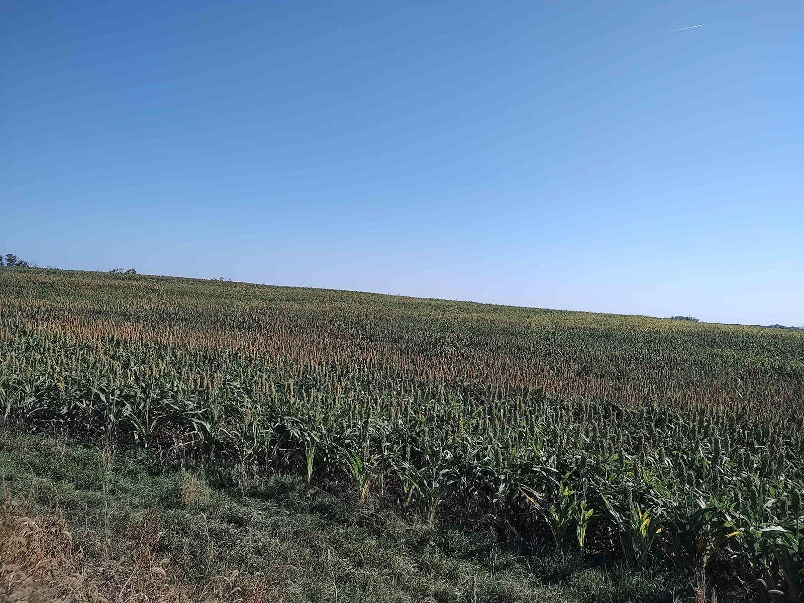 Property Photo:  00000 E Wheat Dr.  KS 67481 