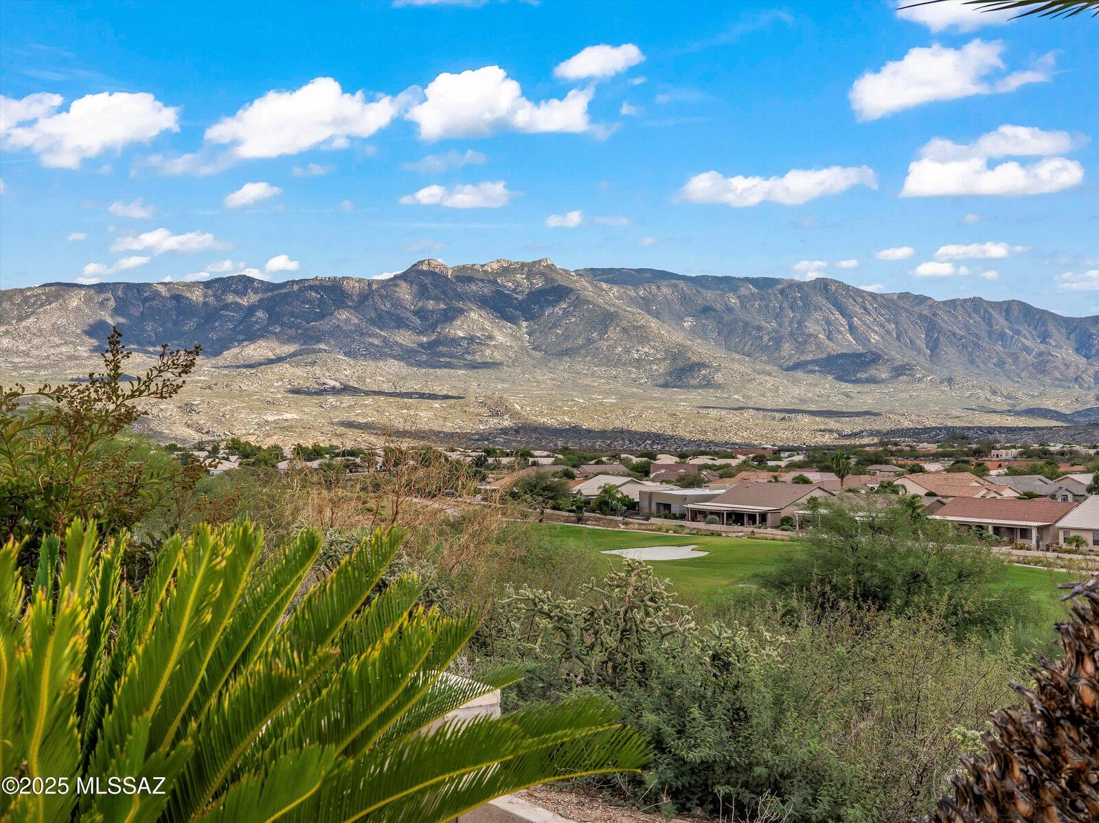 Property Photo: 63063 E Mountain Crest Drive AZ 85739