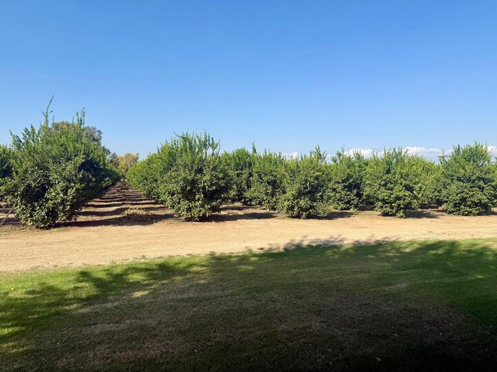 Property Photo:  15434 Ave. 330  CA 93235 