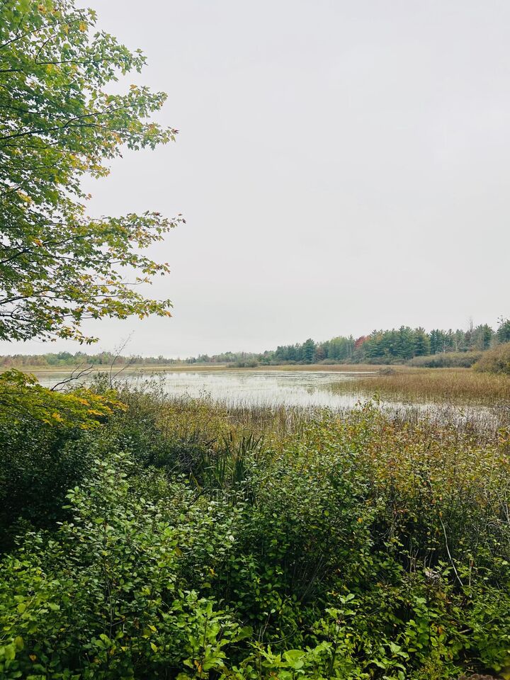Property Photo: 1370 Deer Valley Drive MI 49707