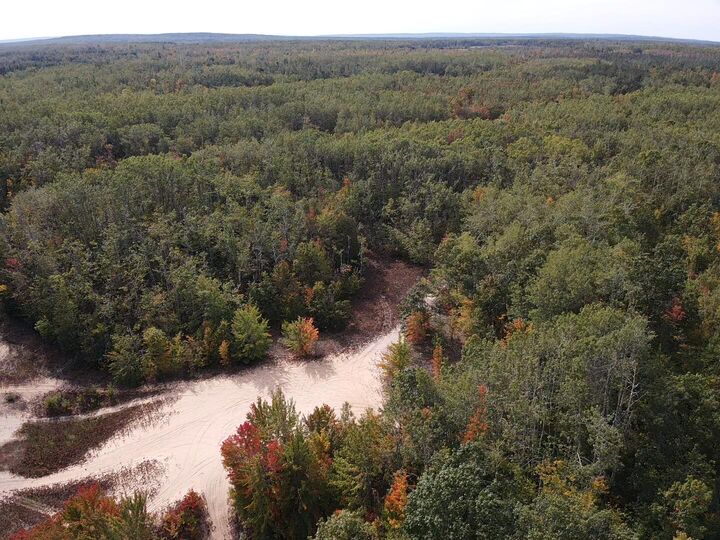 Property Photo:  V/L 30.3ac W Silver Beach Road  MI 49721 