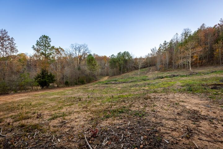Property Photo: 0 Buckner Rd GA 30736