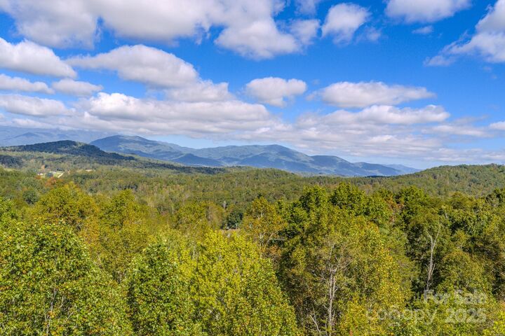 170 Midnight Sun Lane  Old Fort NC 28762 photo