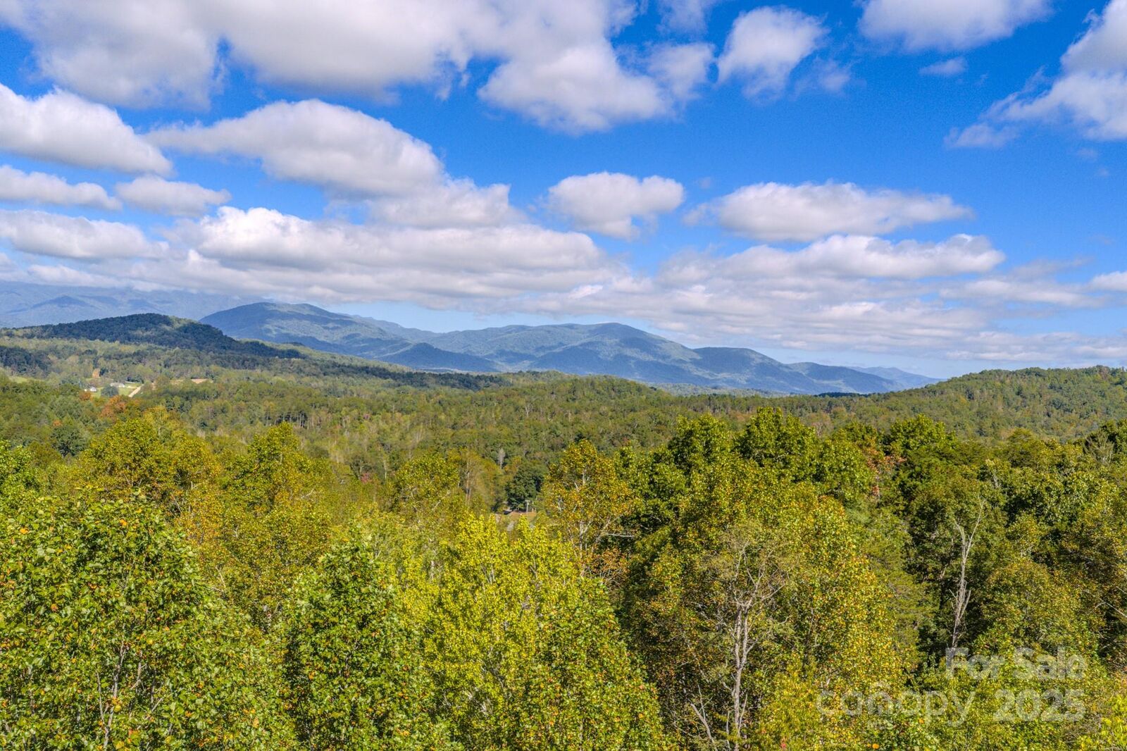 Property Photo: 170 Midnight Sun Lane NC 28762