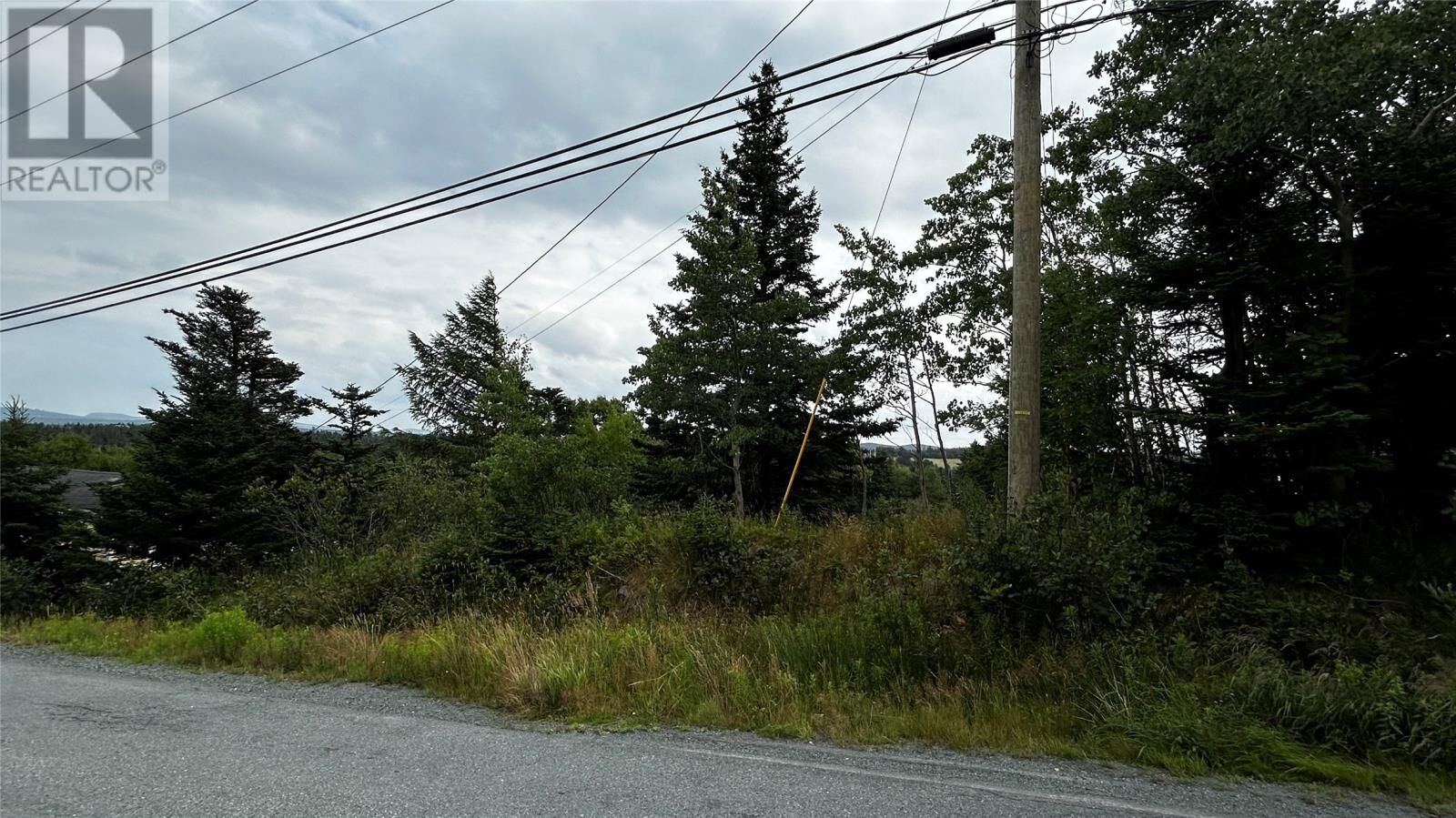 Property Photo:  177 Bauline Line  NL A1K 1H6 