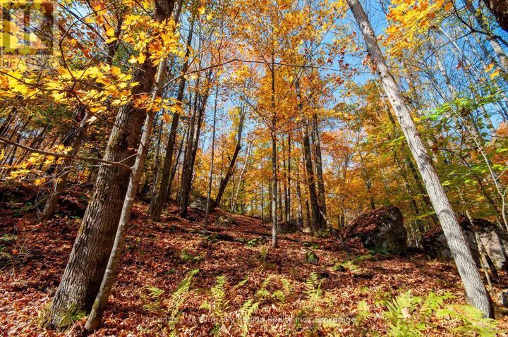 Photo de la propriété:  1061 South Shore Road  ON P0H 1B0 