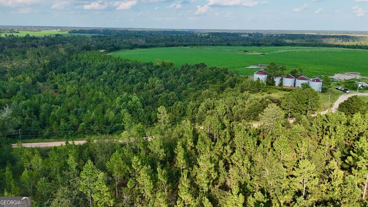 Property Photo: 0 Rhonda Coleman Road GA 31539