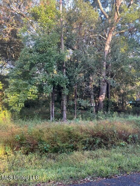 Property Photo:  0 Dorothy Street  MS 39564 