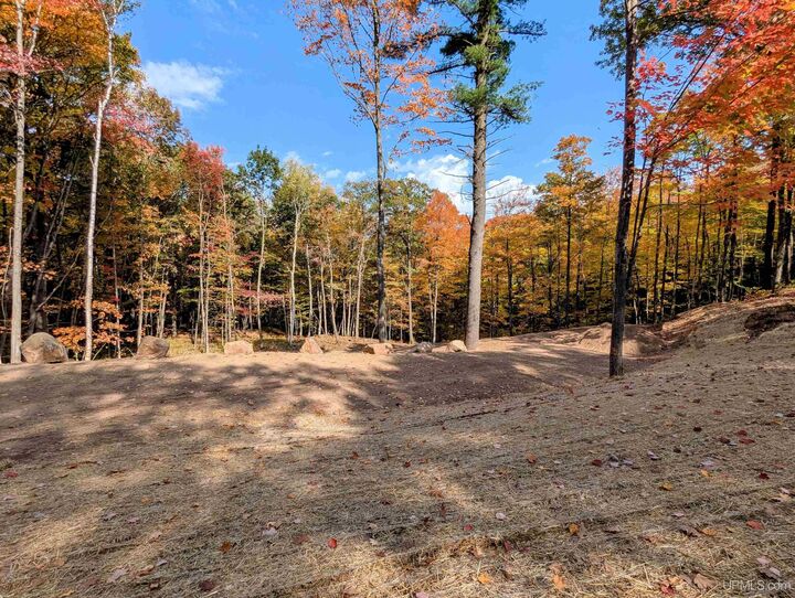 Property Photo:  104 Hardwood Lane  MI 49866 