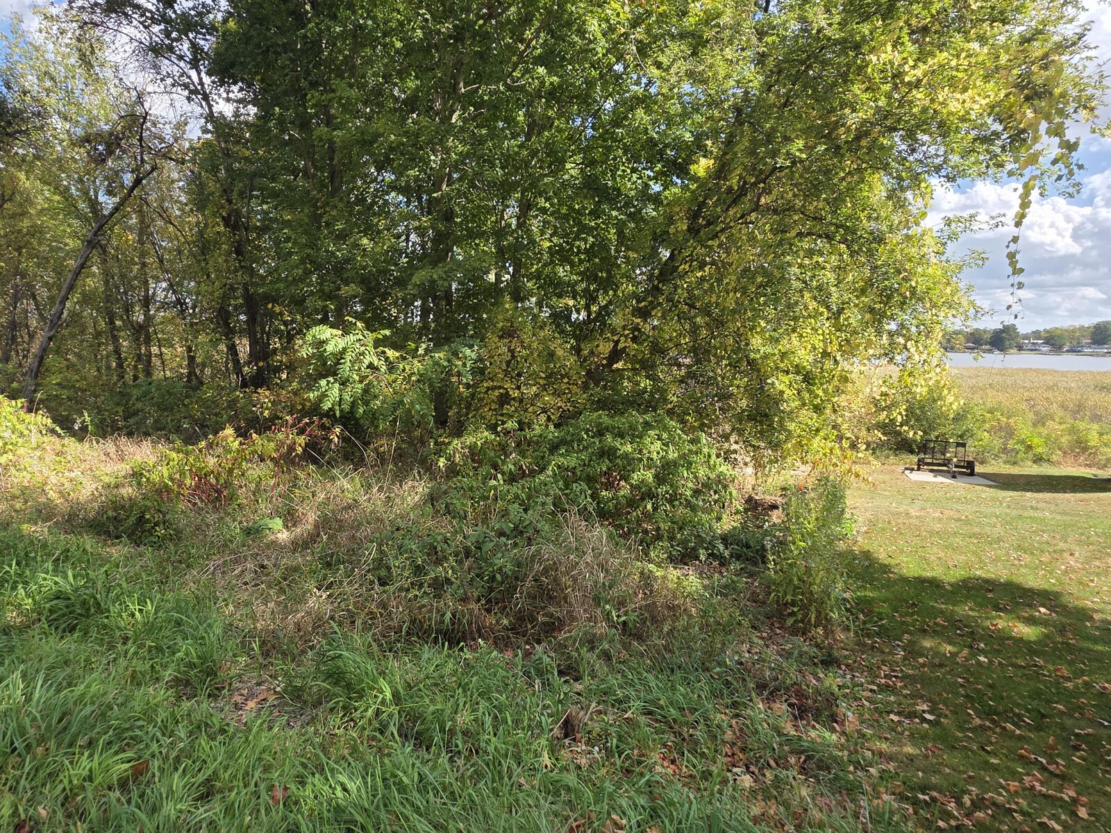 Property Photo: Hankerd Rd MI 49272
