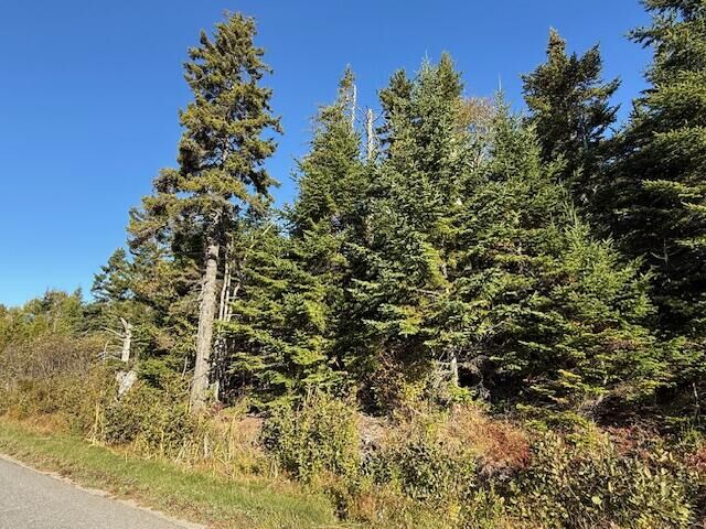 Property Photo: Lot 25 H Boot Cove Road ME 04652