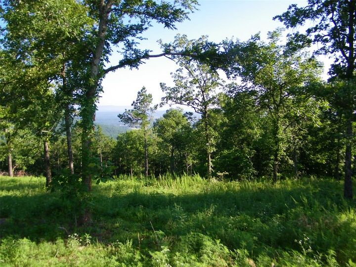 Property Photo: NE 155th Street OK 74563