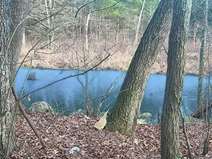 Property Photo:  Lot 32 Sheep Pasture Rd.  MA 01077 