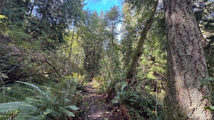 Property Photo:  0  Heggeness Road  WA 98236 