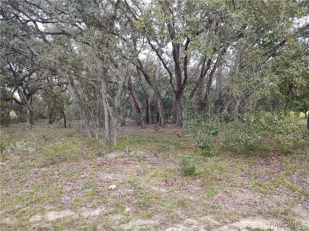 Property Photo:  269 N Grandview Avenue  FL 34442