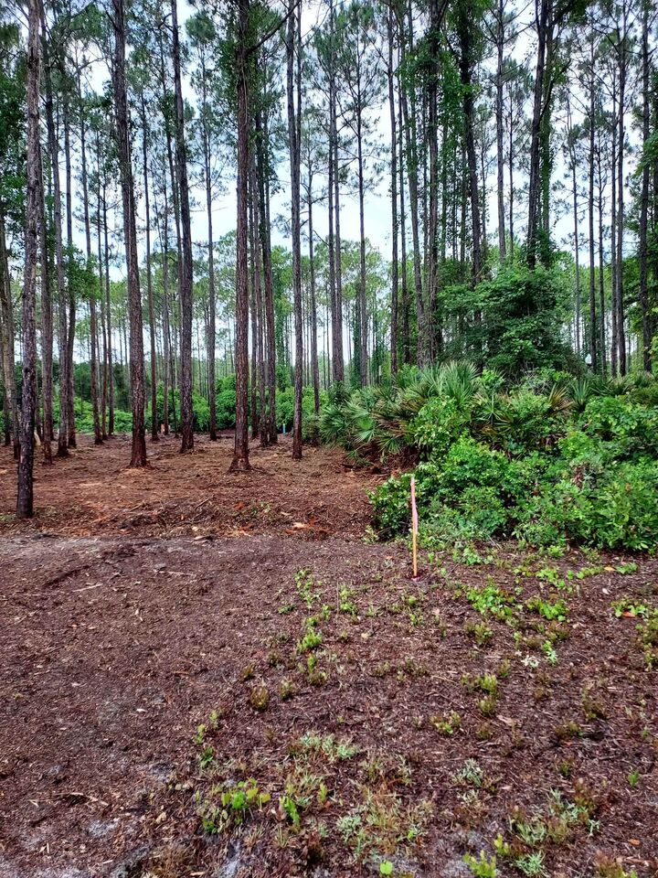 Property Photo:  164 Royal Tern Way  FL 32322 