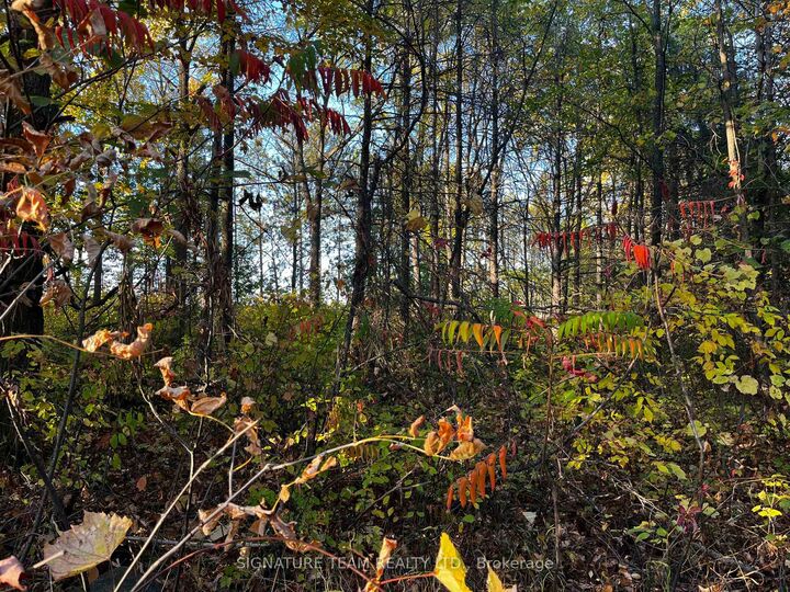 Property Photo:  Lot 0 Bellamy Road  ON K0A 3L0 